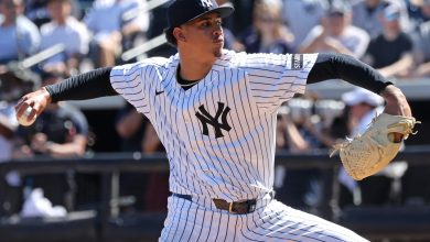 Yankees top prospect Carlos Lagrange may return from IL sooner than expected