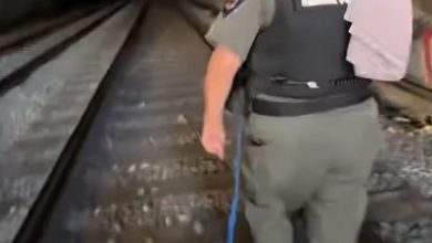 Terrified pup survives 2 days in pitch-black California tunnel before dramatic rescue