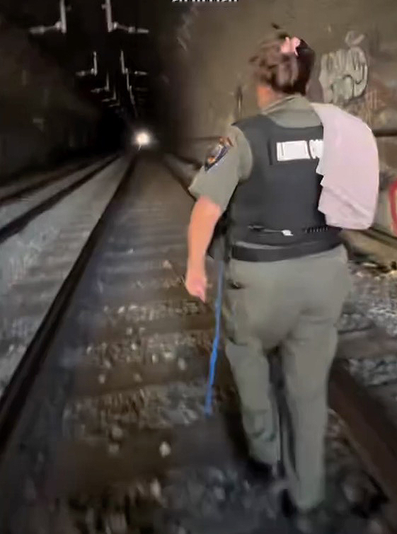 Terrified pup survives 2 days in pitch-black California tunnel before dramatic rescue