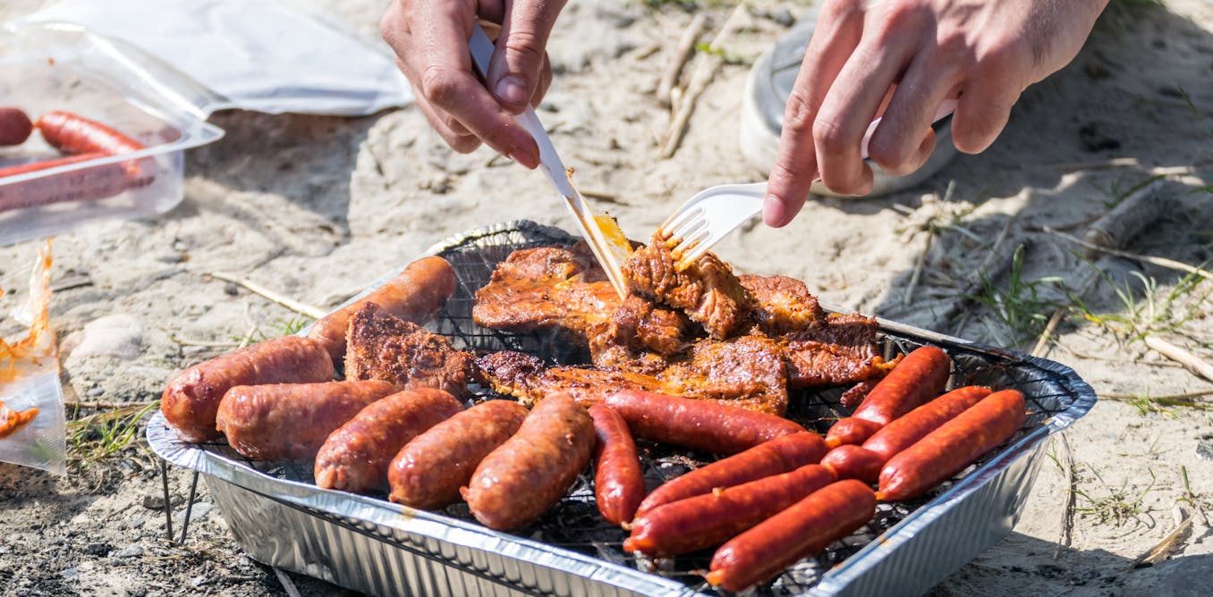 Wildfires: why disposable BBQs are being banned from some parks and beaches