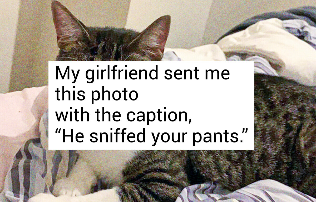 12 Animal Shelter Moments Teaching Us That Pets Always Bring Real Compassion and Happiness to Heavy Hearts
