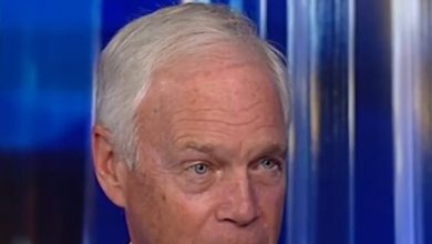Ron Johnson: ‘Not a Good Look’ for Dems to Bury Their Head in the Sand over Fauci