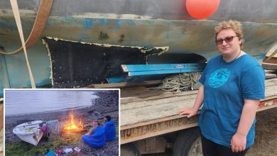 Humpback whale sinks family’s sailboat in Alaska: ‘Heard a giant thud’