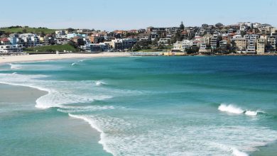 How to Sell a Genocide has been removed from a library near Bondi – but libraries represent freedom of thought