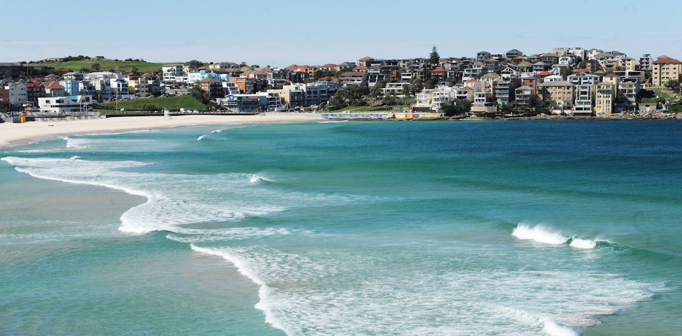 How to Sell a Genocide has been removed from a library near Bondi – but libraries represent freedom of thought