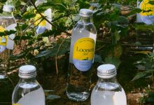Why Is Loonen Water So Hyped?