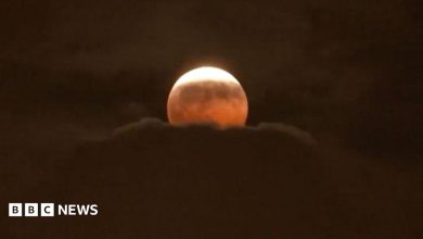 Watch: Stargazers around the world glimpse ‘Blood Moon’ lunar eclipse