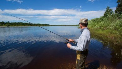 Bear tries to steal one too many fish off of fisherman’s line, gets charged at with pole in hand