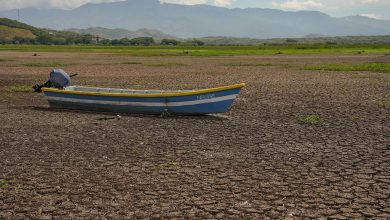 How El Niño Will Impact Fall and Winter Weather in the U.S.