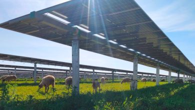 Turkey Bets $108 Billion on Wind and Solar While Expanding Oil and Gas