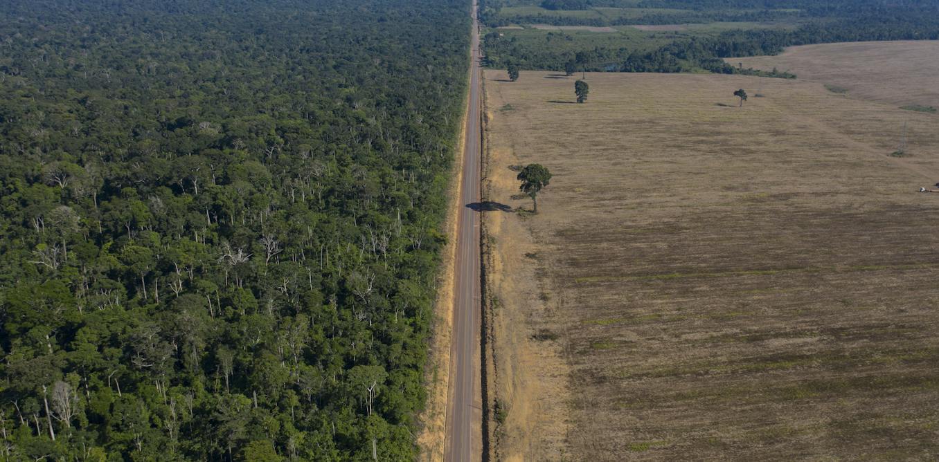 Brazil has made gains against Amazon deforestation, but lasting protection is a challenge
