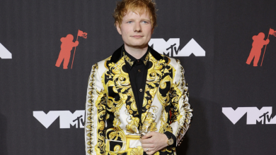 Ed Sheeran Warned of Career ‘Danger’ As He Loses More Followers