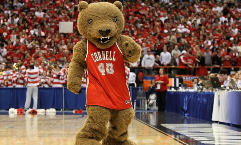 Maybe Butchering Bears in the Dorm Room Is Bad, Actually