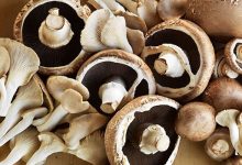 Pile of mushrooms on a board