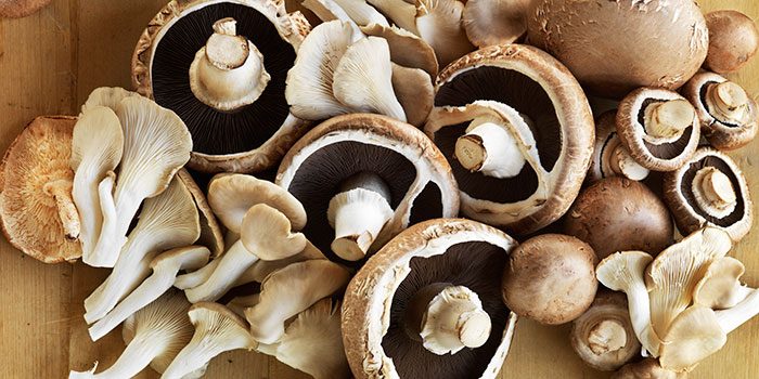 Pile of mushrooms on a board