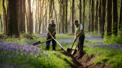 AI-generated image: Two men are digging a trench in a forest.