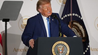 Donald Trump launches new AI-powered government website