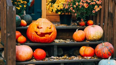 pumpkins on doorstep