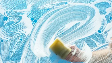 Image from the original article