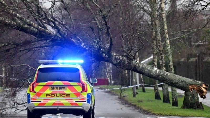 A police car with its warning lights on in front of a tree that has been blown over in a storm