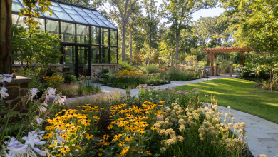 Yellow black-eyed susan and other fall flowers with black conservatory to the rear