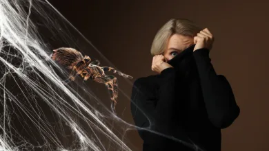 Image from the original article