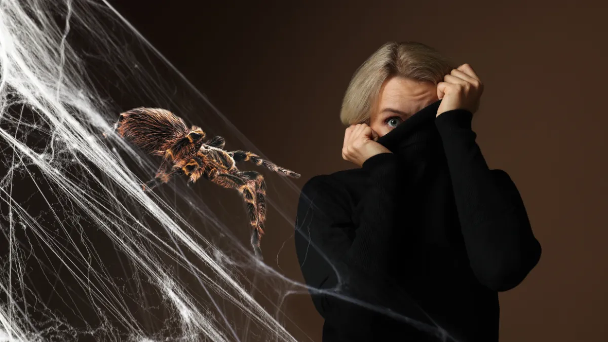 Image from the original article