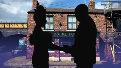 Image from the original article