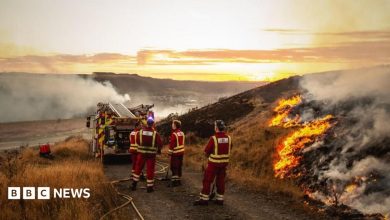 Firefighters stand behind a truck on a mountain, with fire and smoke visible.