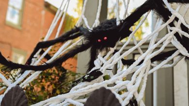 A fake spider web and spider outside a house