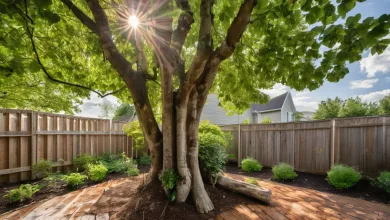 AI-generated image: A photograph shows a backyard scene with a large tree in the center, surrounded by a wooden fence and a wooden deck.