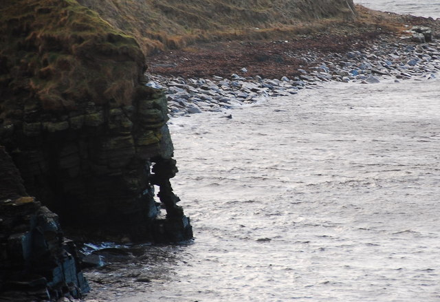 How long would you give it? - geograph.org.uk - 1116579.jpg
