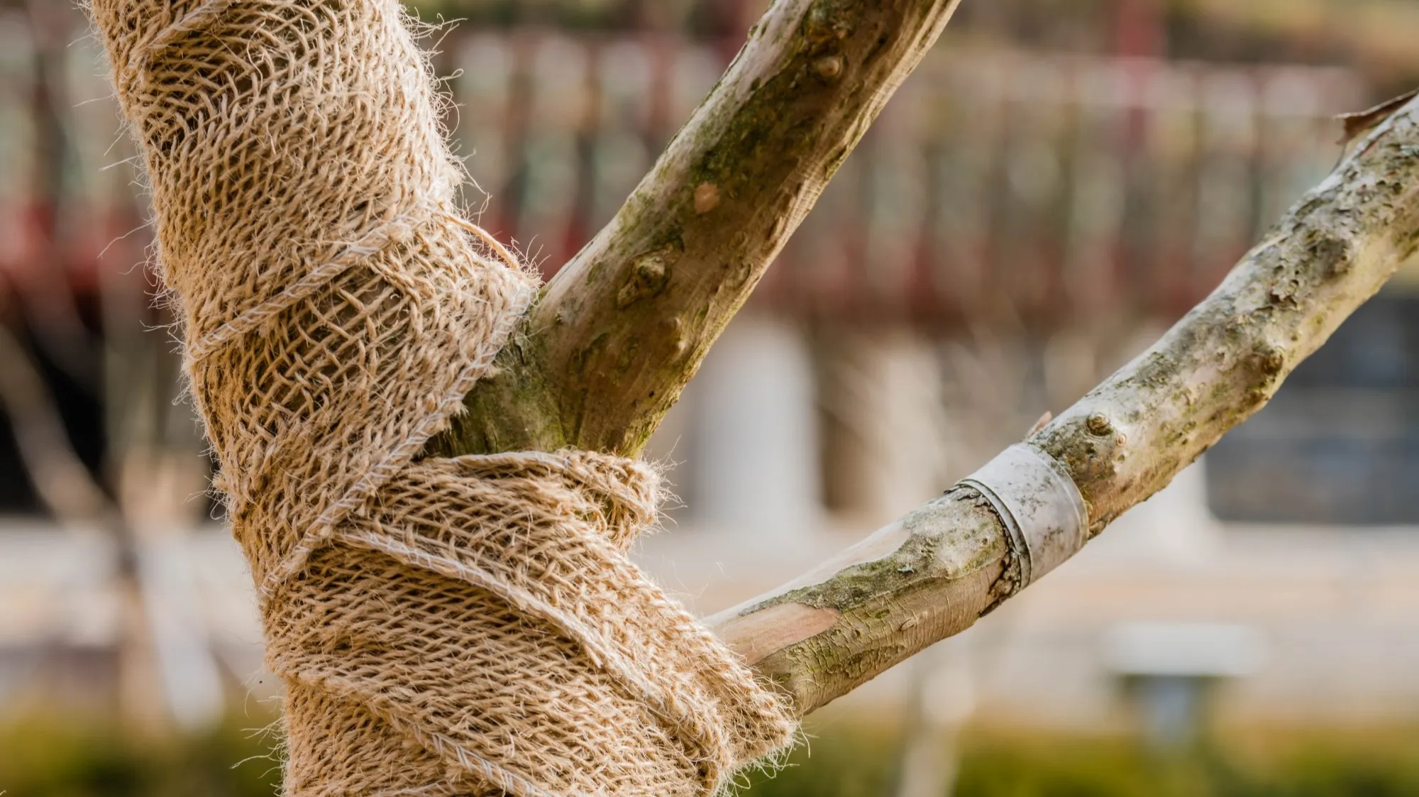 Photo: aminkorea via Adobe Stock
