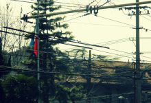France, right across the street - panoramio.jpg