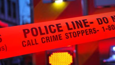 Hackers steal 8.3M records from crime tip platform used by schools, police nationwide