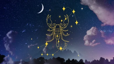 Image from the original article