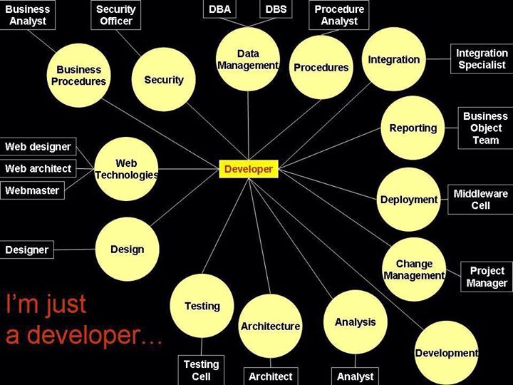 Software developer.jpg