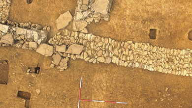 Image from the original article