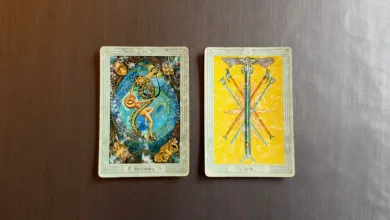 Image from the original article