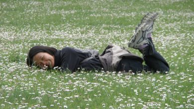 Happiness is a field of daisies.jpg